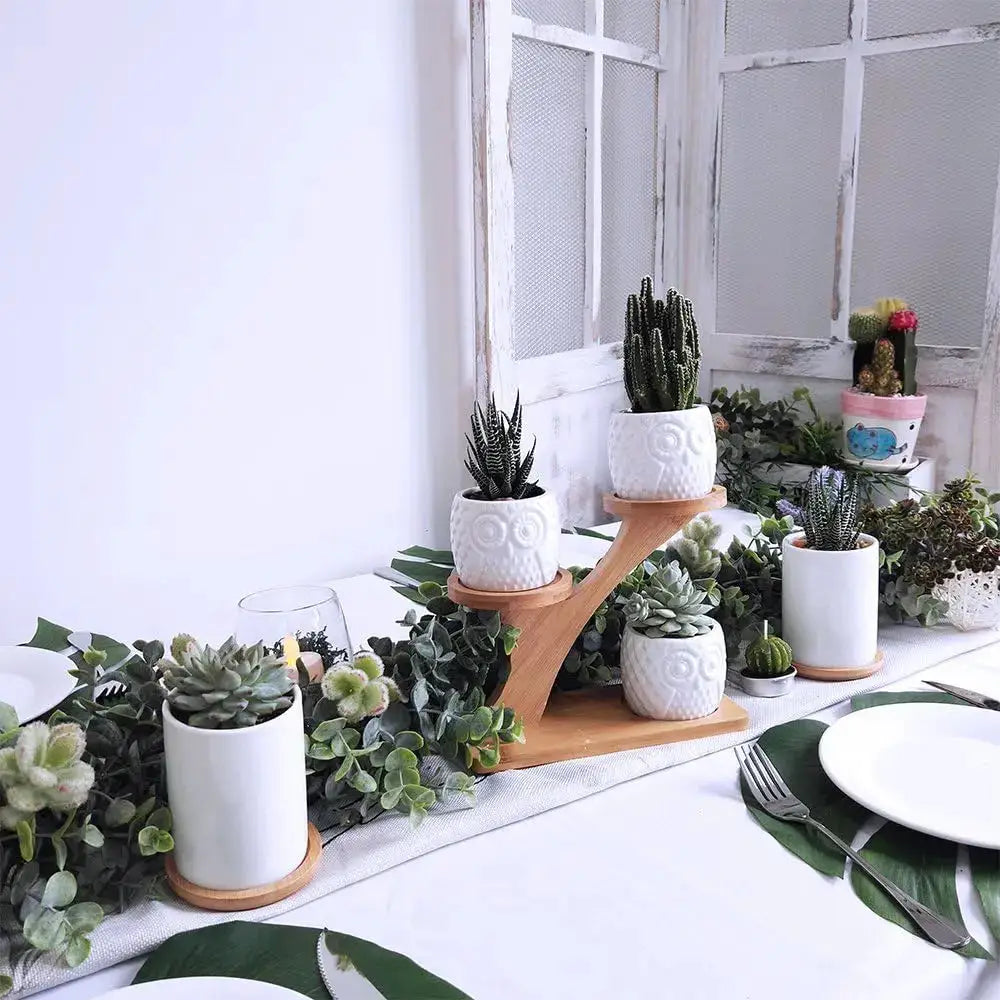 3Pcs Owl Succulent Pots with 3-Tier Bamboo Stand - White Ceramic Planters with Drainage, Modern Desk Decor from PriceLows™