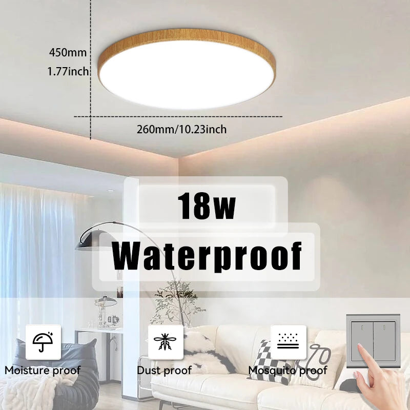 Waterproof LED Ceiling Light | 30W-40W | 220V | Black