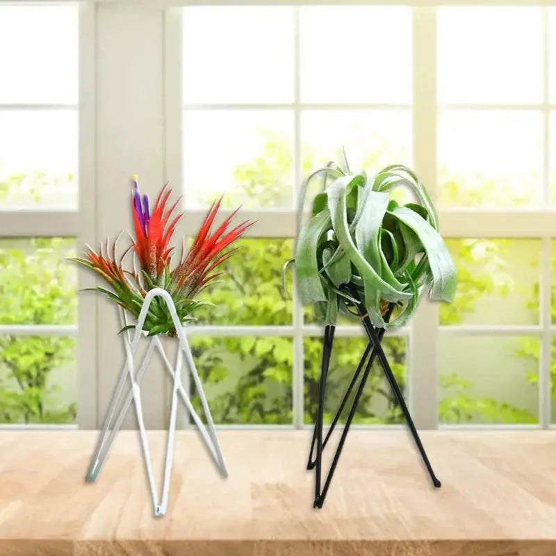Air Plant Holder Metal Flower Pot Stand Geometric Iron Tillandsia Display Art G5AB from PriceLows™