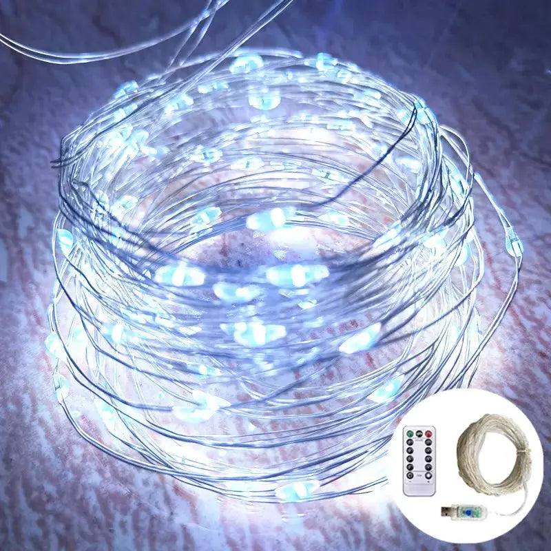 USB LED Fairy Lights Copper/Silver Wire String Lights with Remote Control Wedding Garland for Christmas Tree Bedroom Decoration from PriceLows™