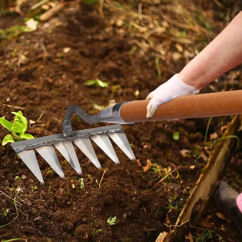 Carbon Steel Garden Hand Rake | 4 To 7 Teeth | Weeding Scarifier|30mm Aperture