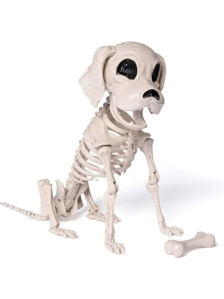 Halloween Dog Skeleton | Posable Joints | Full Body | 12.6 Inch