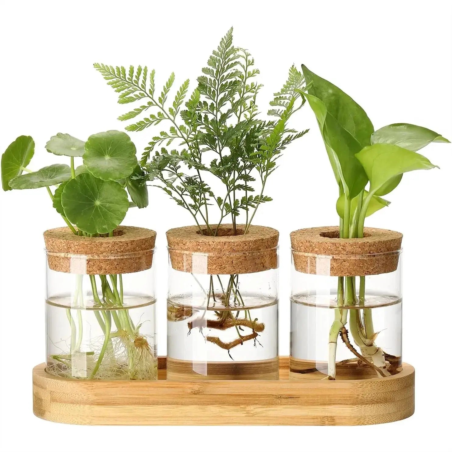 3Pcs Propagation Stations with Wooden Stand, Glass Planter Terrarium for Hydroponics, Desktop Home Office Decor from PriceLows™