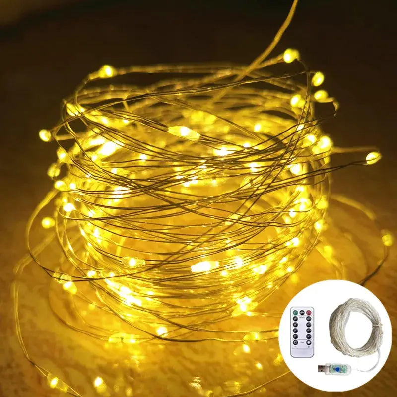 USB LED Fairy Lights Copper/Silver Wire String Lights with Remote Control Wedding Garland for Christmas Tree Bedroom Decoration from PriceLows™
