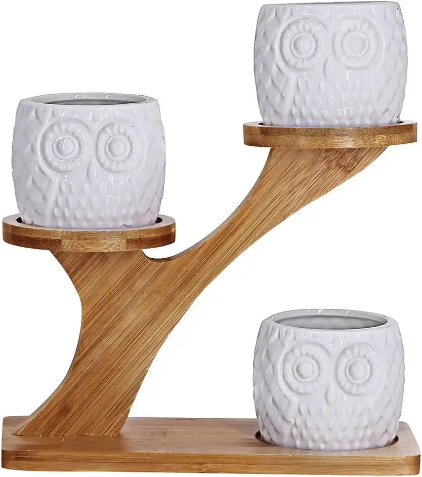 3Pcs Owl Succulent Pots with 3-Tier Bamboo Stand - White Ceramic Planters with Drainage, Modern Desk Decor from PriceLows™