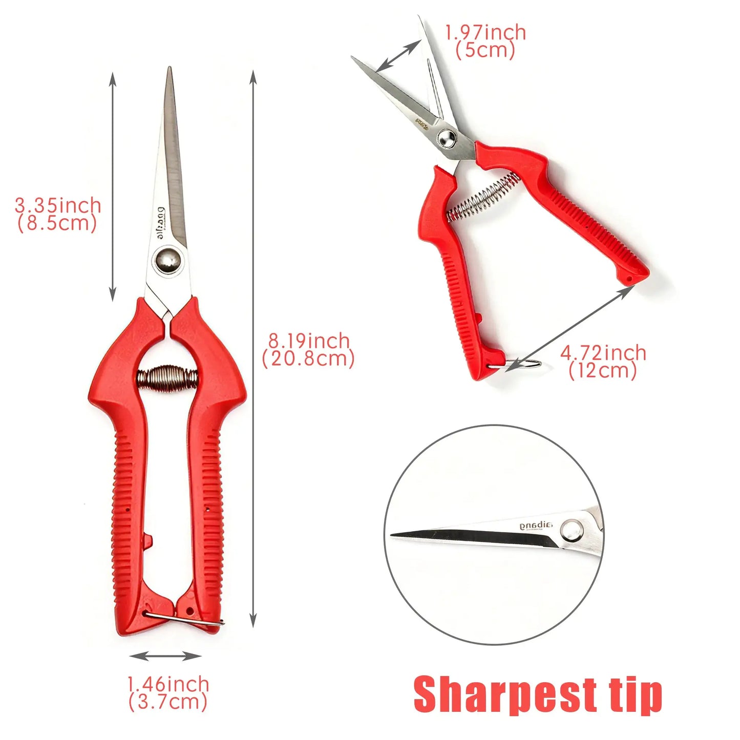Stainless Steel Pruning Shears | Locking Blade | Grape Fruit Gardening