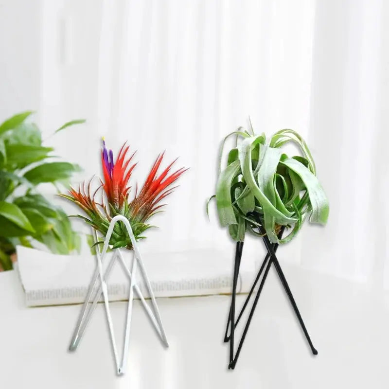 Air Plant Holder Metal Flower Pot Stand Geometric Iron Tillandsia Display Art G5AB from PriceLows™