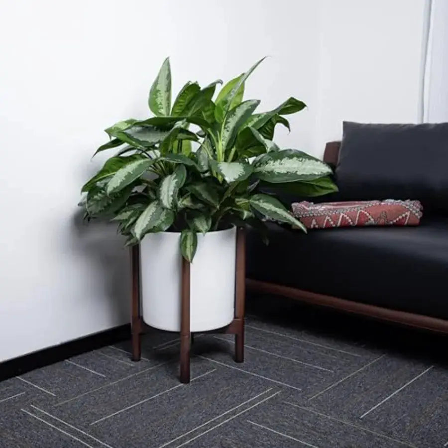 12 Inch Matte White Plastic Cylinder Planter with Walnut Wood Stand for Indoor Use Modern Decorative Flower Pot with Stable Bas from PriceLows™