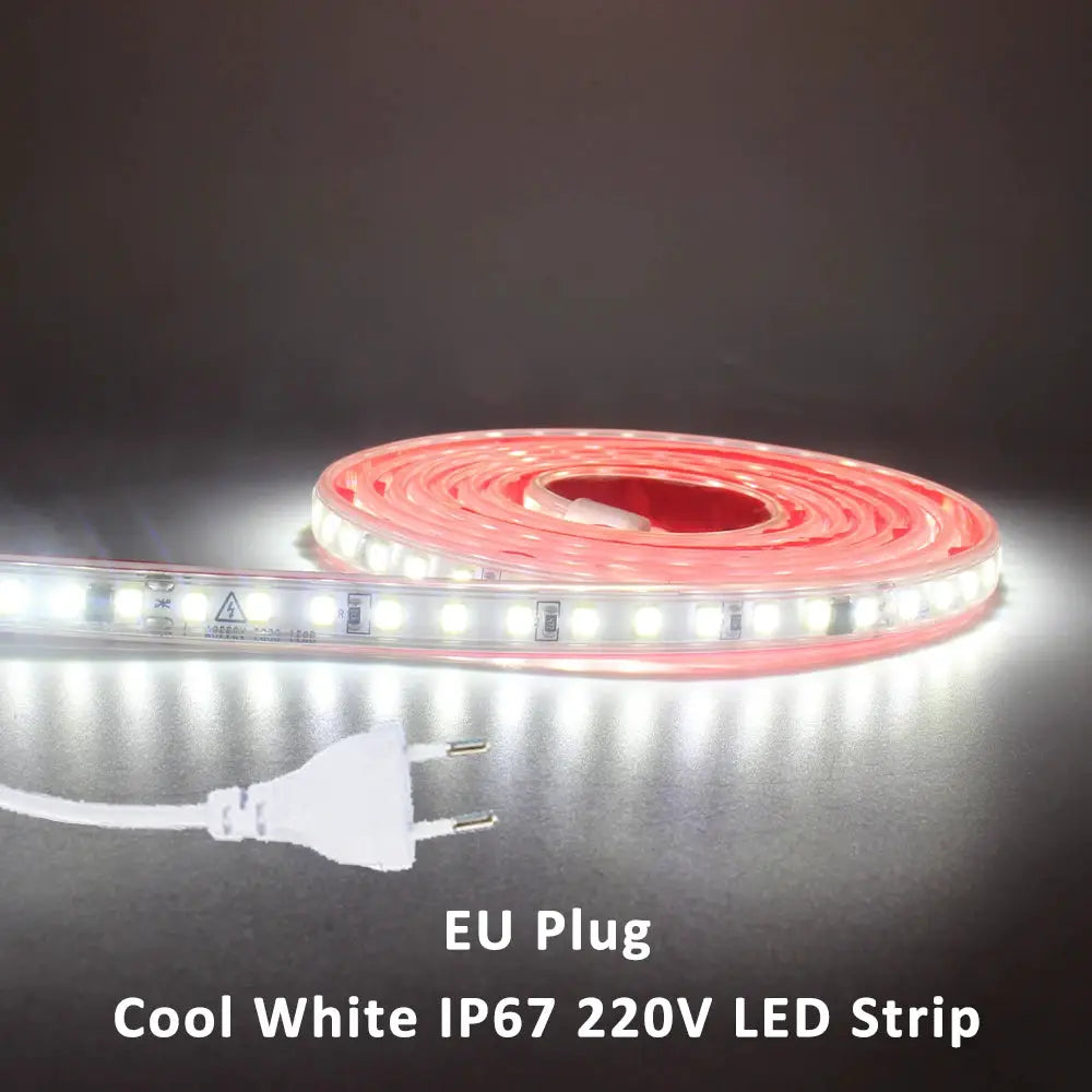 220V LED Strip Light SMD2835 120LEDs/m Waterproof Tape Lamp with EU Plug 1M 2M 3M 5M 10M 15M 20M Decor Lighting for the Yard from PriceLows™