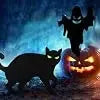 Halloween Yard Signs | 6 Piece Set | Includes Stakes | 2 Cats 4 Ghosts