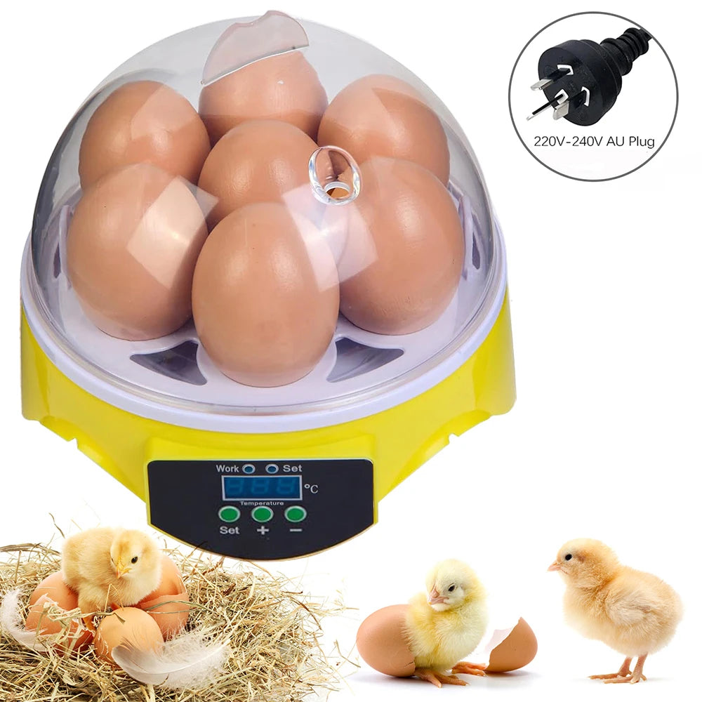Egg Incubator | Automatic Constant Temperature | 7 Piece Set