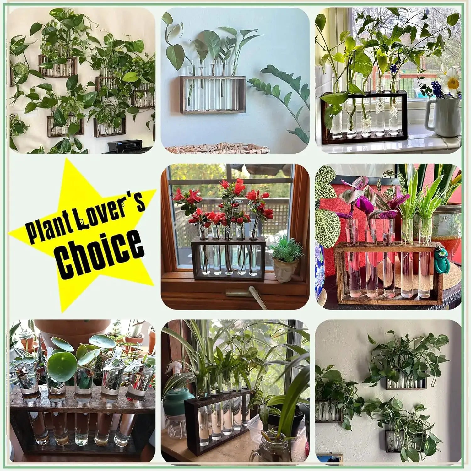 5-Tube Plant Propagation Station with Wooden Stand, Glass Planters for Indoor Plants, Garden Office Decor, Gift for Women from PriceLows™