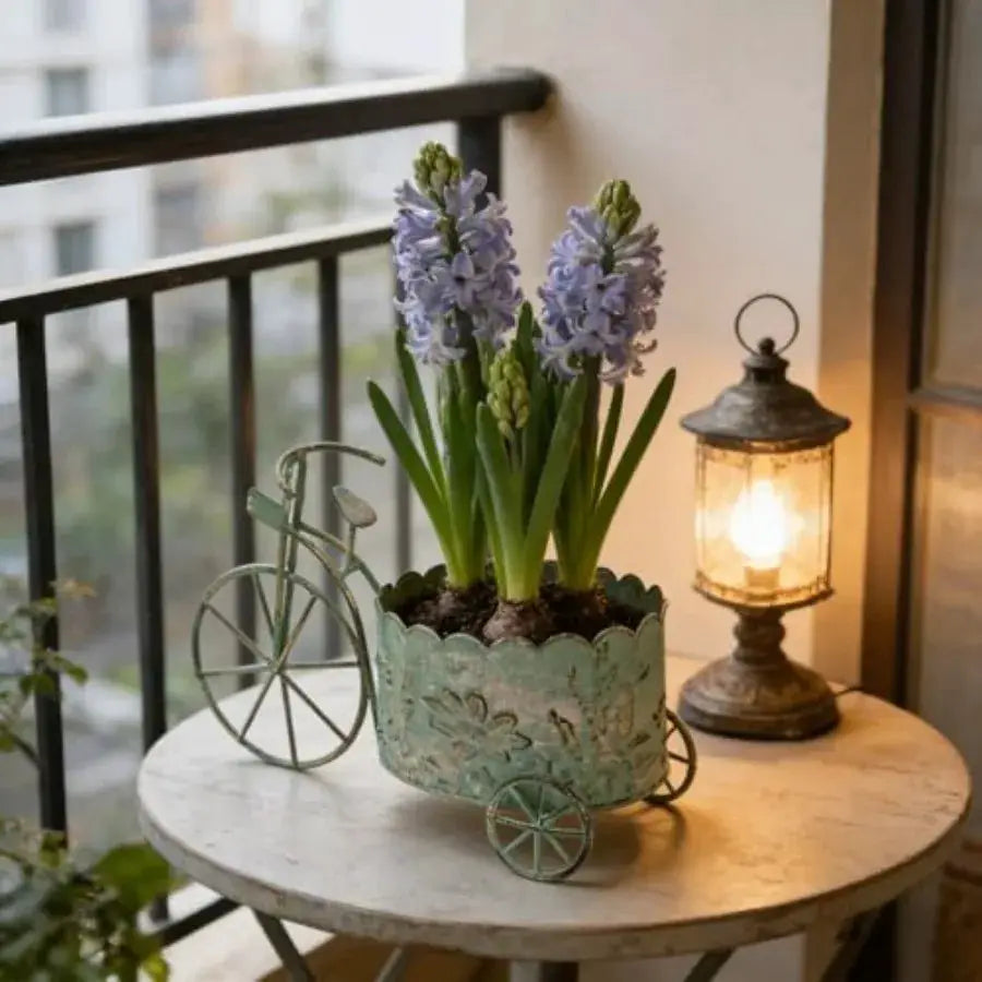 Vintage Metal Bicycle Planter Rustic Distressed Iron Flower Pot Plant Stand for Succulent Cactus Bonsai Herbs Flower Pot Indoor from PriceLows™