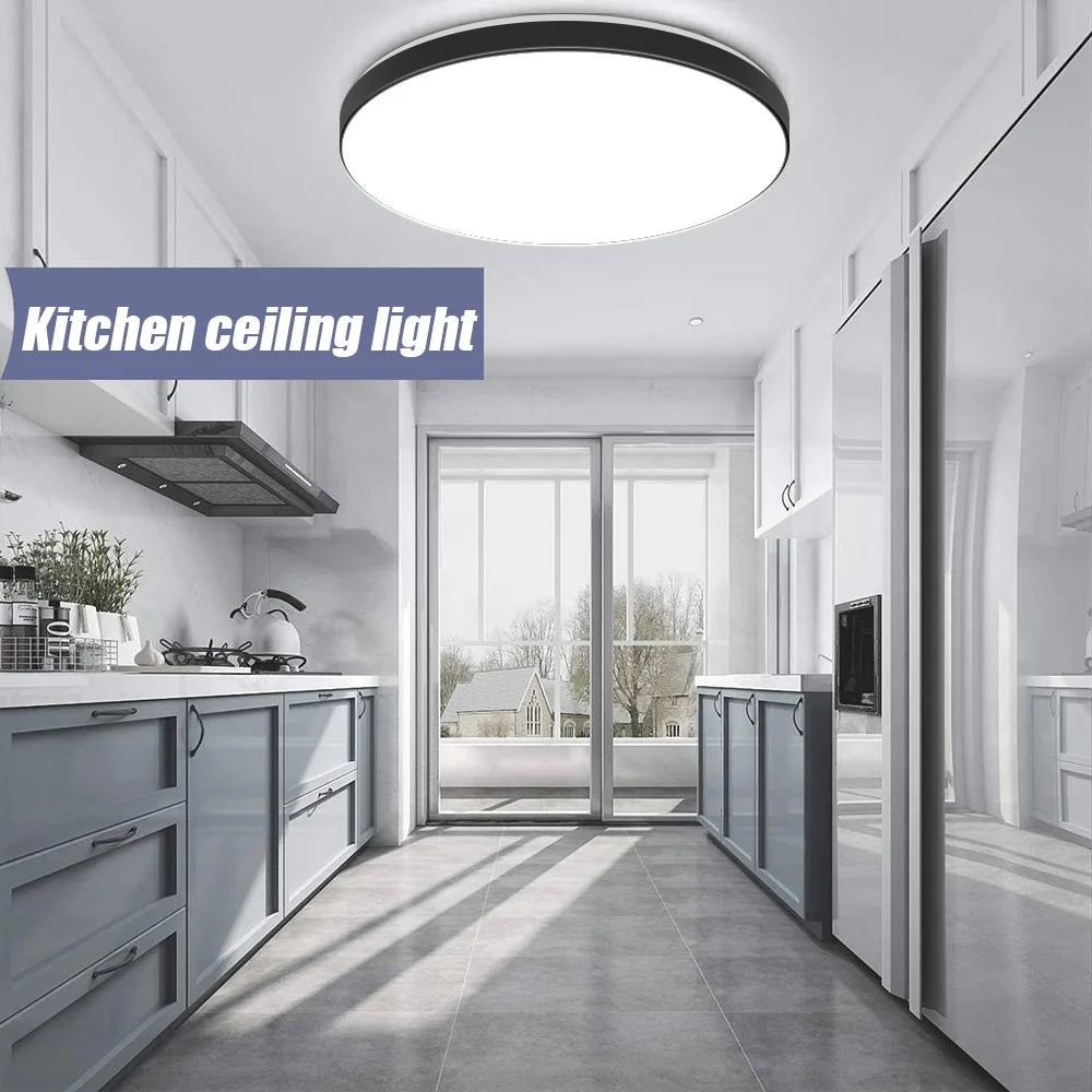 Waterproof LED Ceiling Light | 30W-40W | 220V | Black