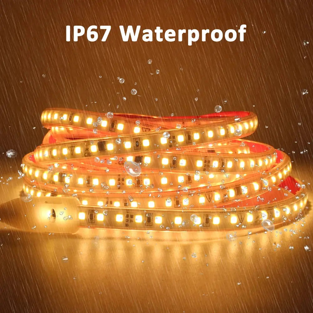 220V LED Strip Light SMD2835 120LEDs/m Waterproof Tape Lamp with EU Plug 1M 2M 3M 5M 10M 15M 20M Decor Lighting for the Yard from PriceLows™
