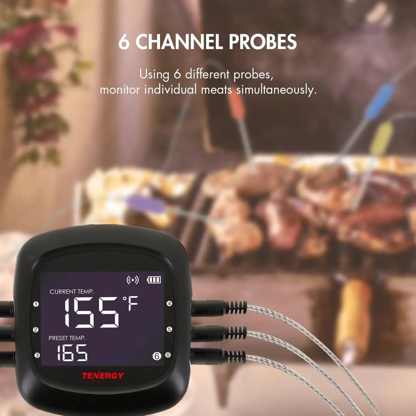 Bluetooth BBQ Thermometer | 6 Probes | App Control | Carrying Case