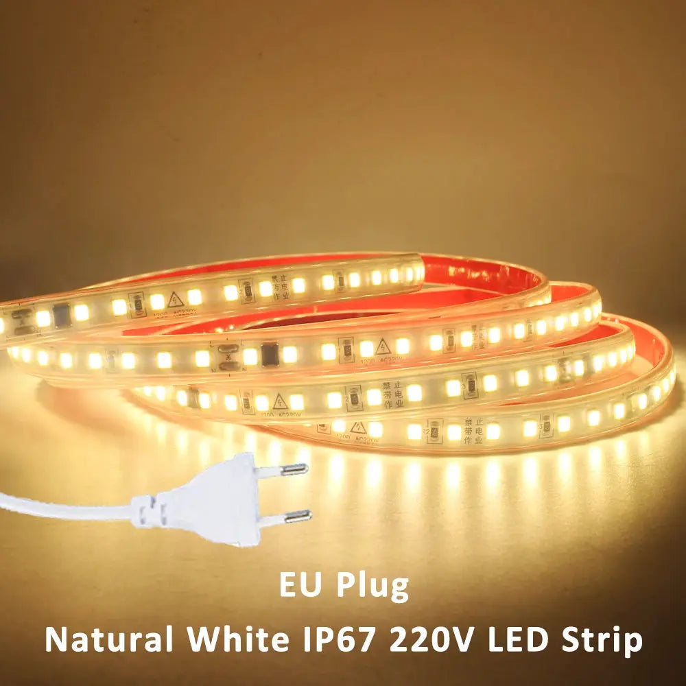 220V LED Strip Light SMD2835 120LEDs/m Waterproof Tape Lamp with EU Plug 1M 2M 3M 5M 10M 15M 20M Decor Lighting for the Yard from PriceLows™