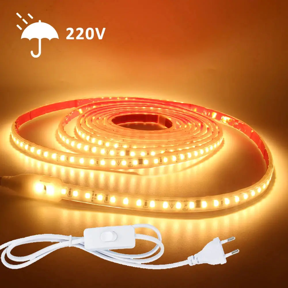 220V LED Strip Light SMD2835 120LEDs/m Waterproof Tape Lamp with EU Plug 1M 2M 3M 5M 10M 15M 20M Decor Lighting for the Yard from PriceLows™