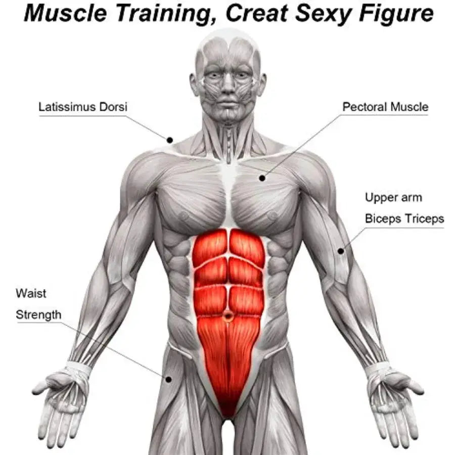 Abdominal Roller | Padded Handles | Core Strength Trainer | Single Wheel