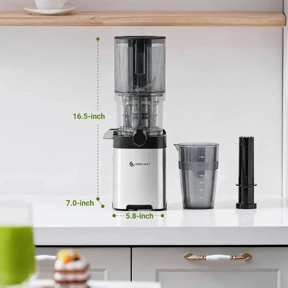 5.4" Wide Chute Cold Press Juicer, Auto-Cutting, 60RPM Slow Masticating, High Juice Yield, Easy Clean from PriceLows™