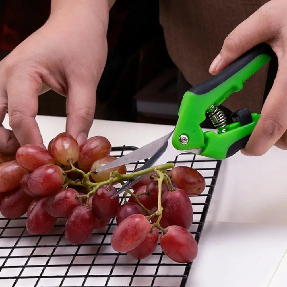 Stainless Steel Pruning Shears Handheld Garden Scissors Practical Trimming Tool for Branches Flowers and Household Plant Care from PriceLows™