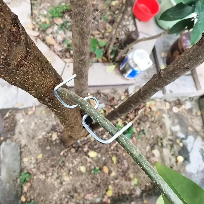 M-Type Tree Branch Puller | Hot Dip Galvanized Steel | 50Pc Pack