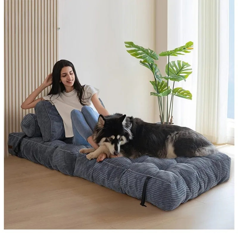 Sofa Bed | Fabric Cotton | Filling Sponge | Single