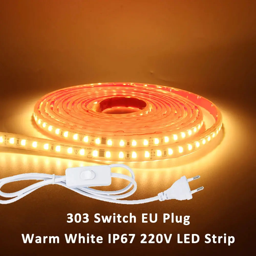220V LED Strip Light SMD2835 120LEDs/m Waterproof Tape Lamp with EU Plug 1M 2M 3M 5M 10M 15M 20M Decor Lighting for the Yard from PriceLows™