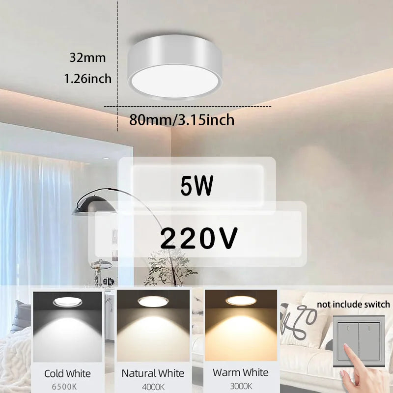Waterproof LED Ceiling Light | 30W-40W | 220V | Black