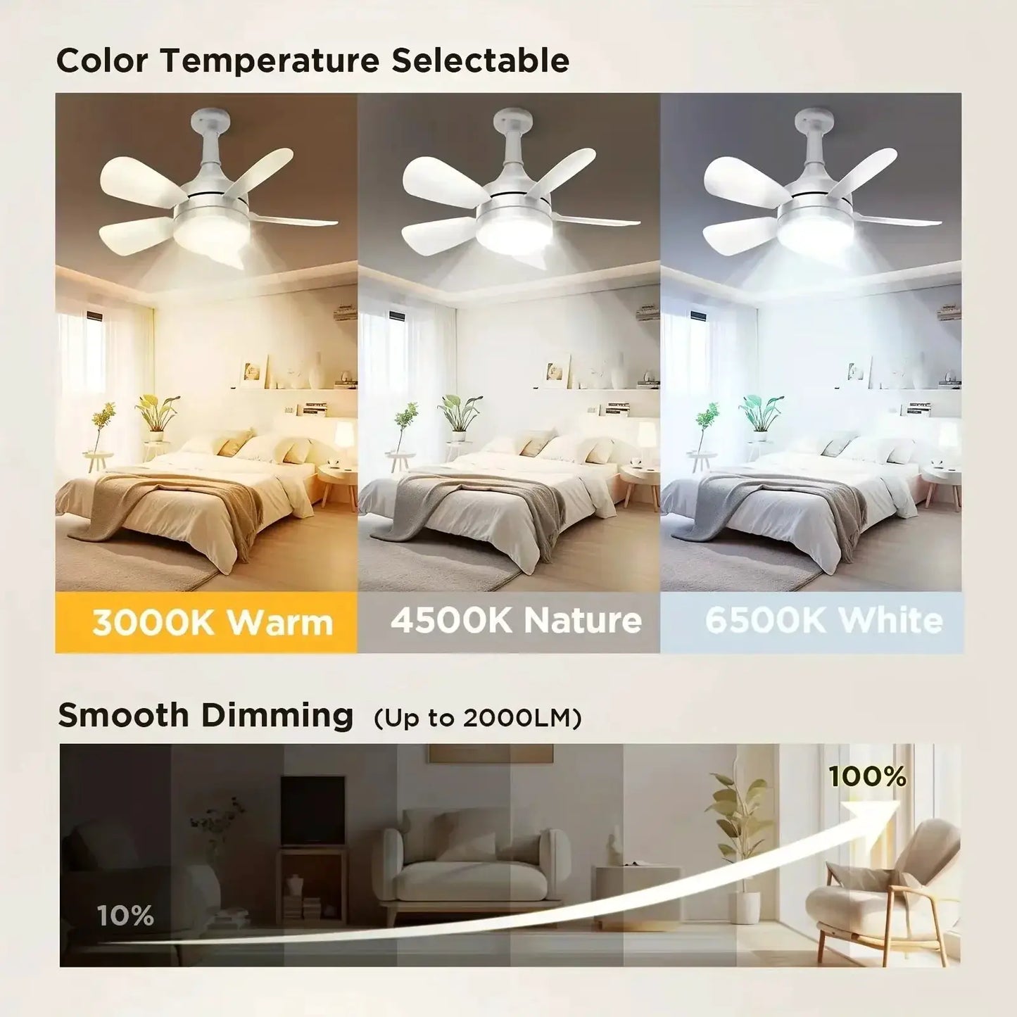 Ceiling Fan With Light 2-In-1 | 16 Inch | Remote Control | E27 Socket Dimmable