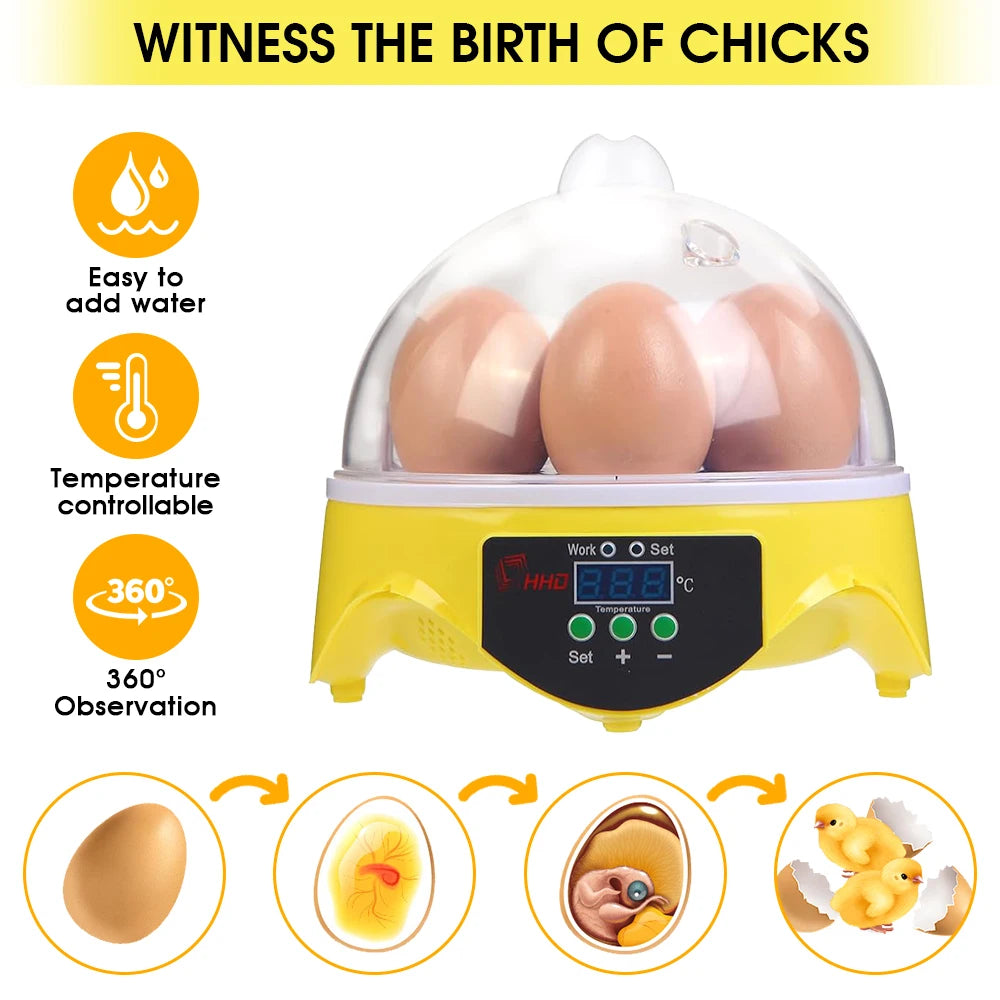 Egg Incubator | Automatic Constant Temperature | 7 Piece Set