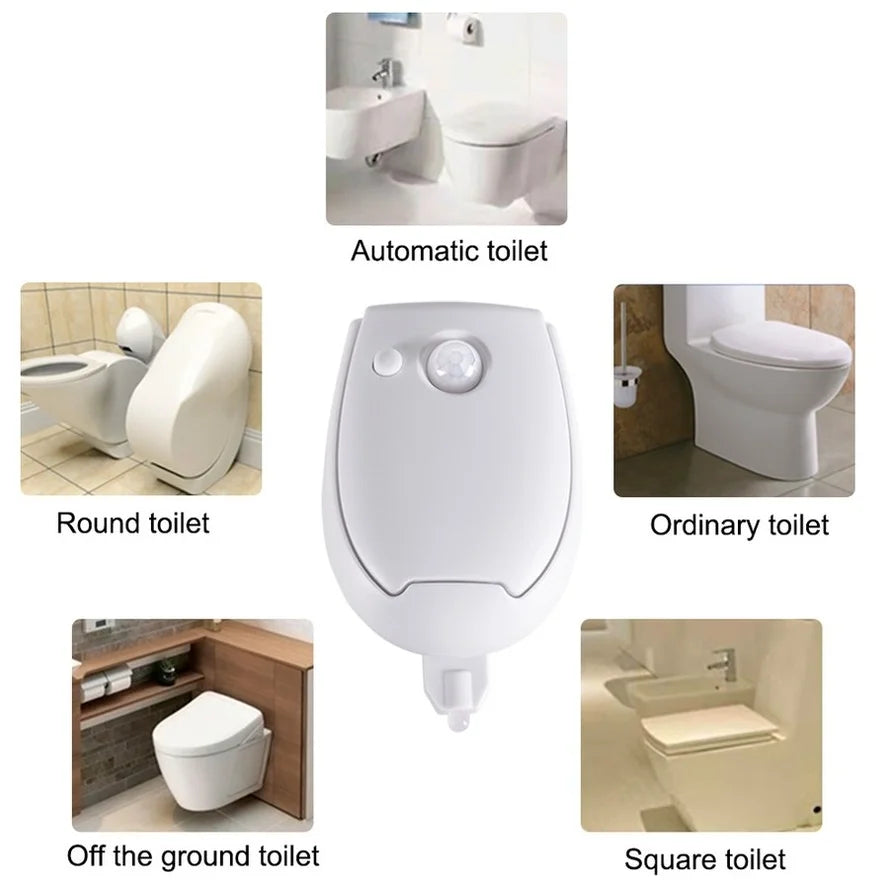 Toilet Night Light | PIR Motion Sensor | Waterproof | 7 Colors