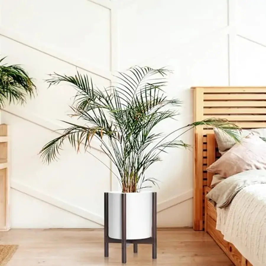 12 Inch Matte White Plastic Cylinder Planter with Walnut Wood Stand for Indoor Use Modern Decorative Flower Pot with Stable Bas from PriceLows™