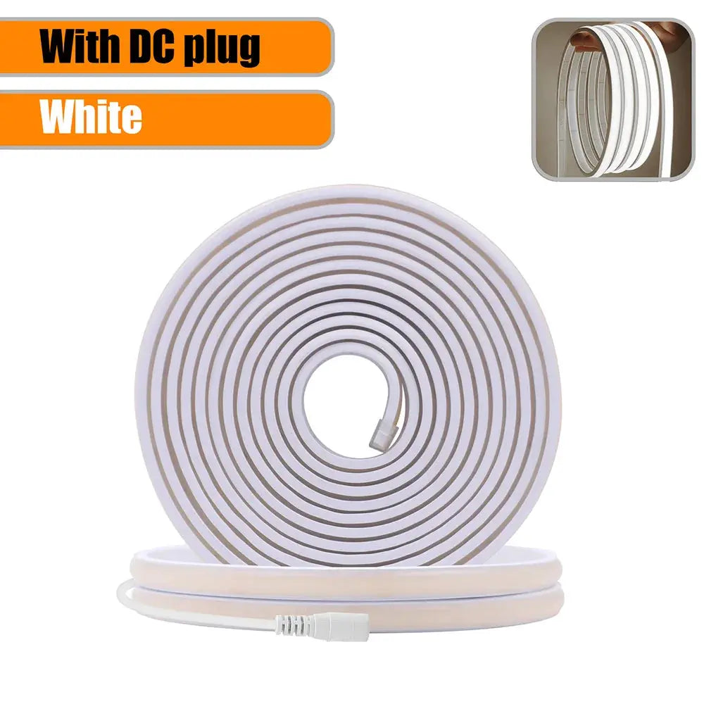 COB Led Neon Rope Light Strip 12V 24V 5m 10m 15m 20m 0.5m IP68 Waterproof Flexible Lamp 320LED High Density Liner Lighting RA90 from PriceLows™