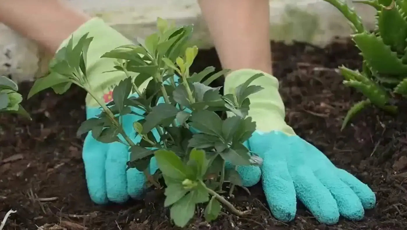 Women's Gardening Gloves, Micro-Foam Coated, Durable, Flexible Nylon Shell, Textured Palm for Maximum Grip from PriceLows™