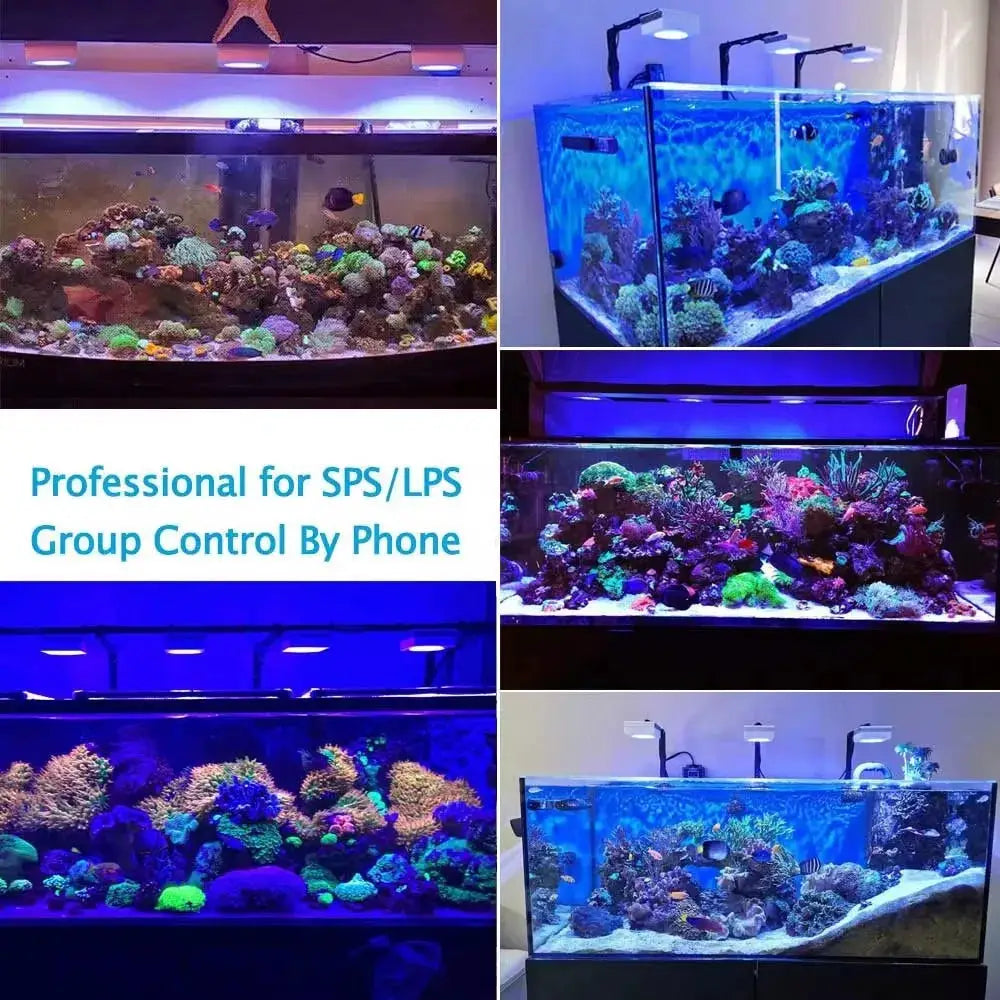 Aquarium Light | 100W LED Full Spectrum | WiFi App Control | Clip On