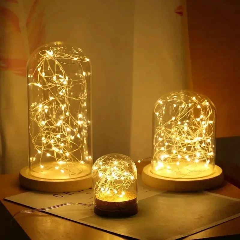 Fairy String Lights | Battery Powered | Warm White 50 LED | 3 Flash Modes
