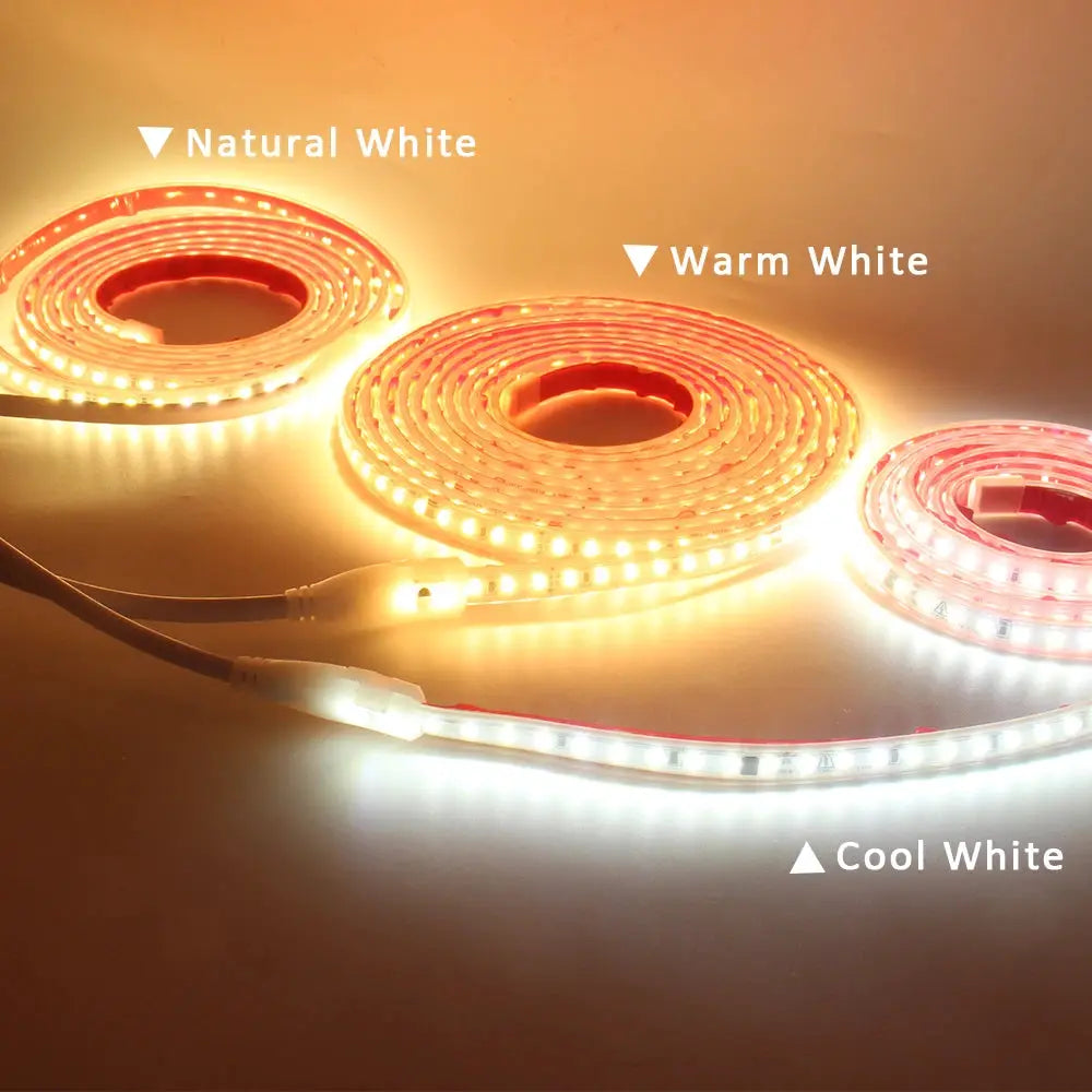 220V LED Strip Light SMD2835 120LEDs/m Waterproof Tape Lamp with EU Plug 1M 2M 3M 5M 10M 15M 20M Decor Lighting for the Yard from PriceLows™