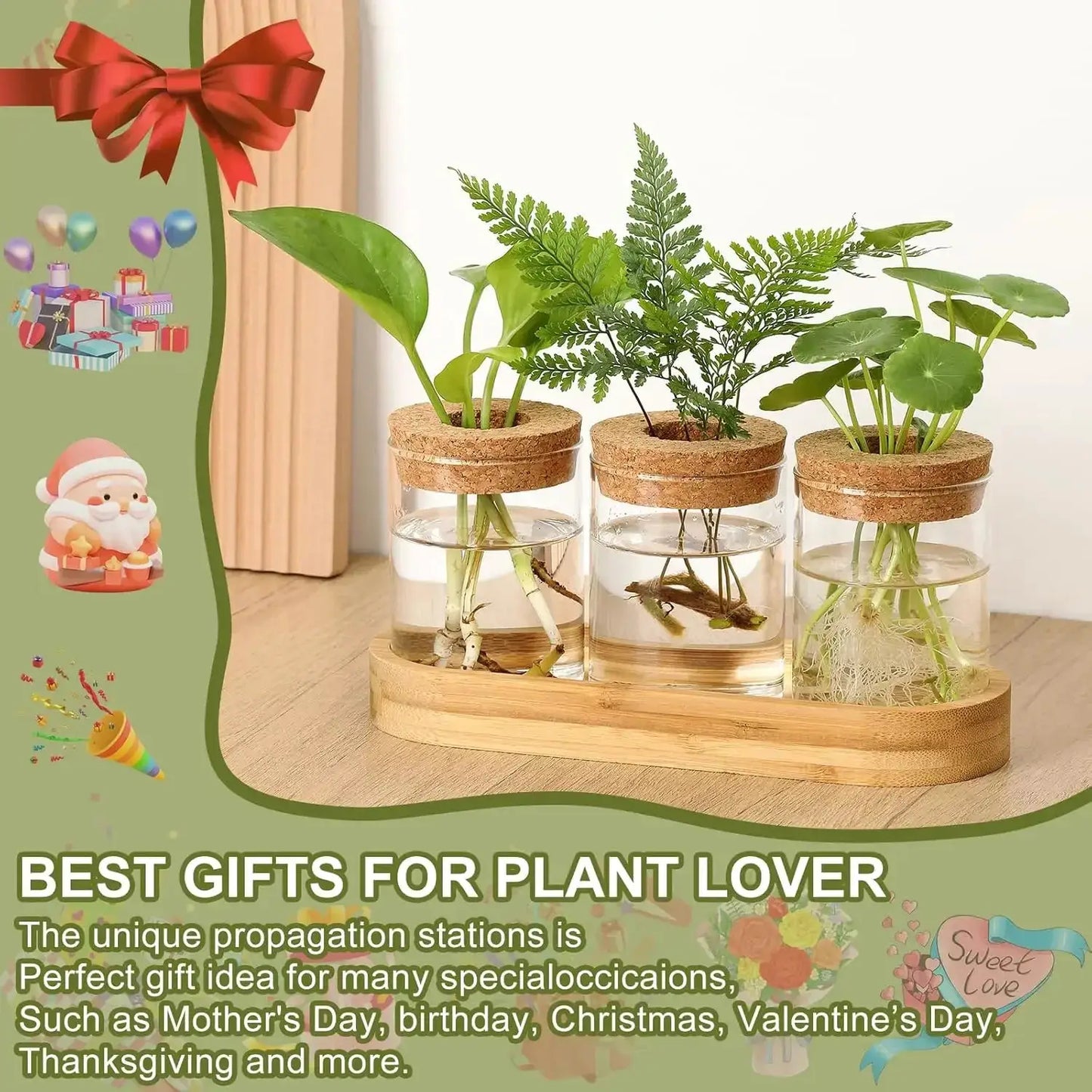 3Pcs Propagation Stations with Wooden Stand, Glass Planter Terrarium for Hydroponics, Desktop Home Office Decor from PriceLows™