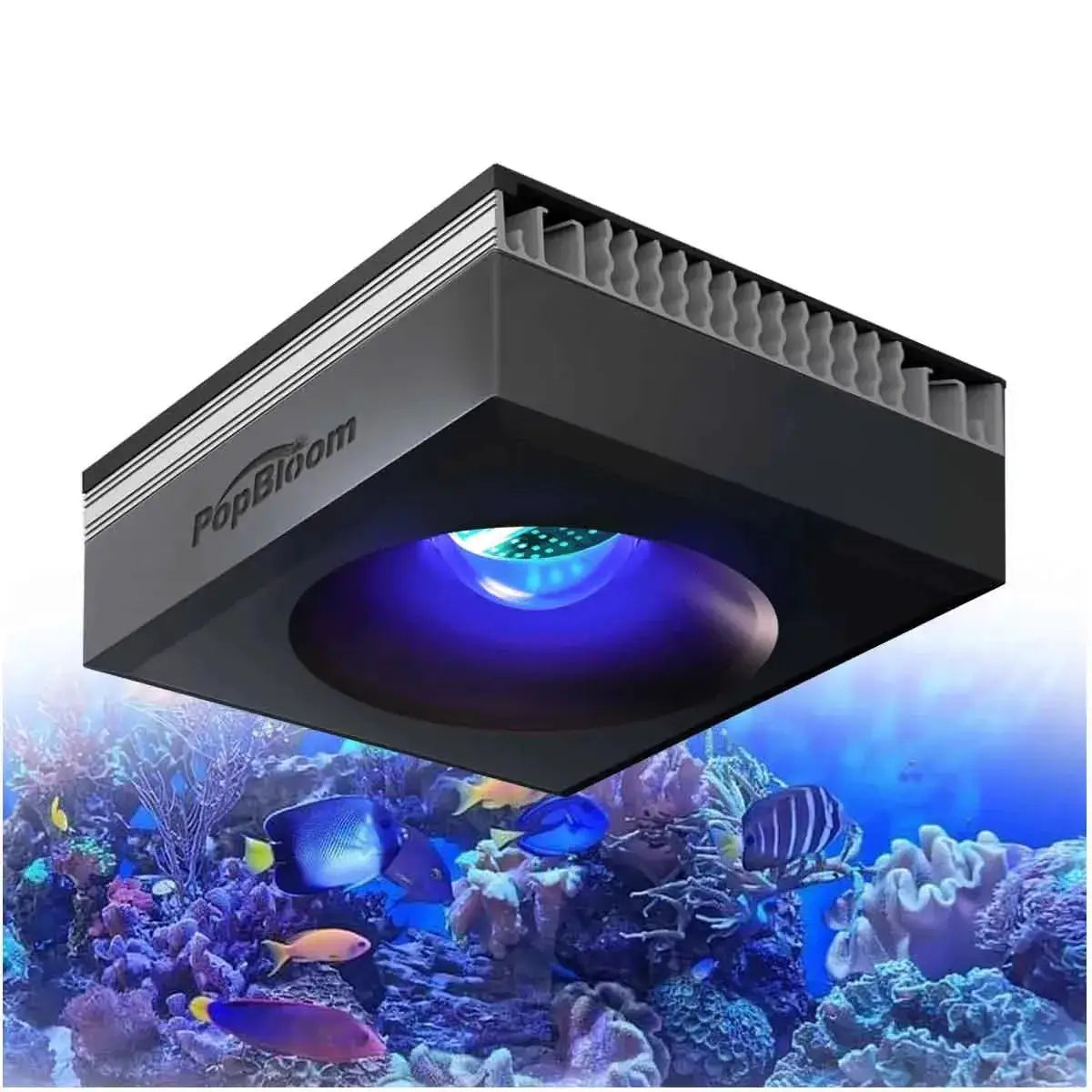 LED Reef Aquarium Light | 100W Full Spectrum | Clip On Mount