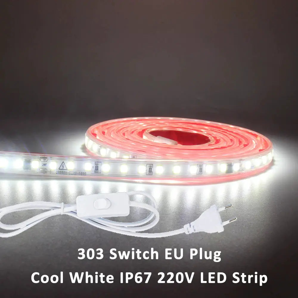 220V LED Strip Light SMD2835 120LEDs/m Waterproof Tape Lamp with EU Plug 1M 2M 3M 5M 10M 15M 20M Decor Lighting for the Yard from PriceLows™