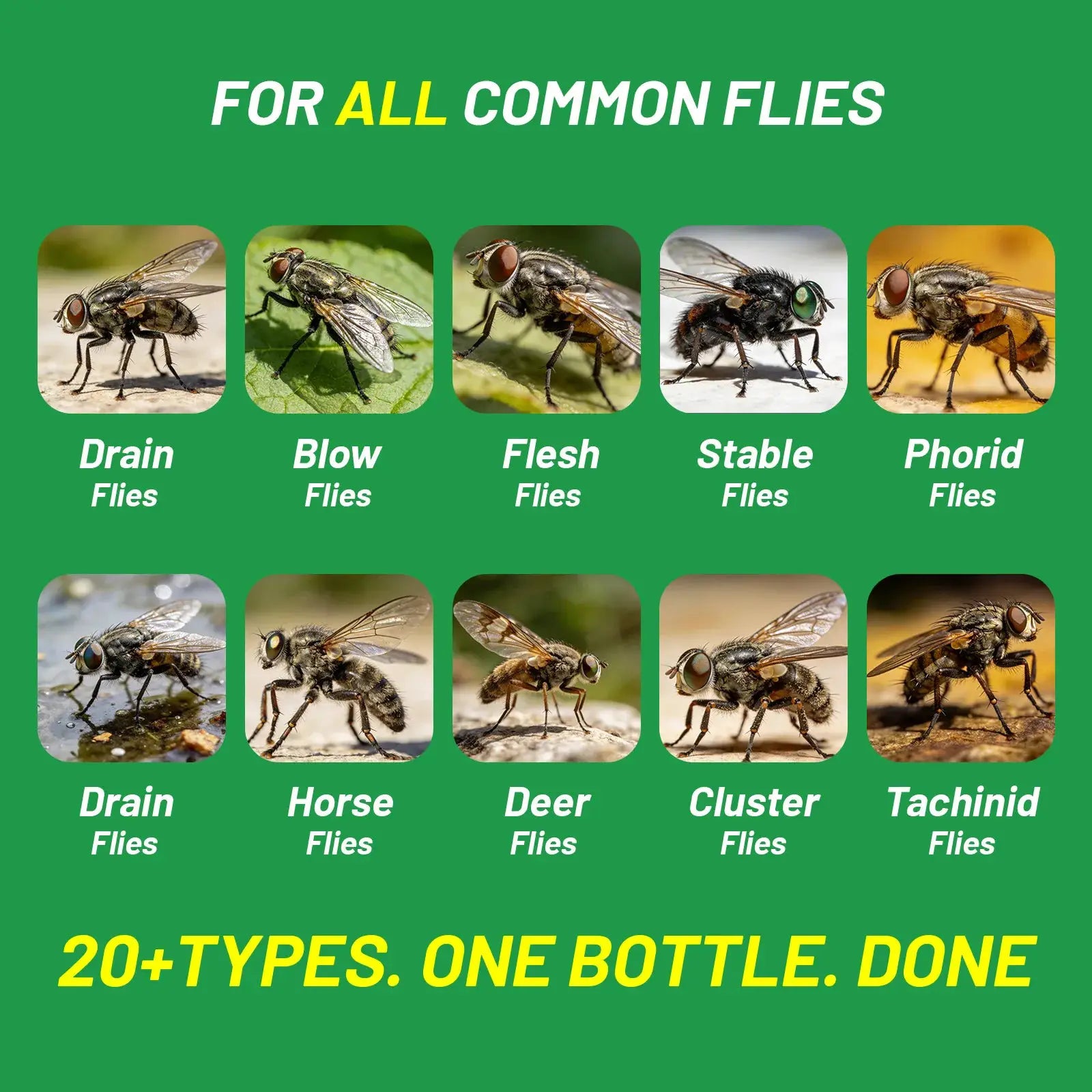6/8 Pack Outdoor Fly Traps With Non-Toxic Bait Patio Hanging Disposable Fly Bags Flying Bug Control Pest Killer Repellent Insect Catchers For Ranch Backyard Trash Bin from PriceLows™