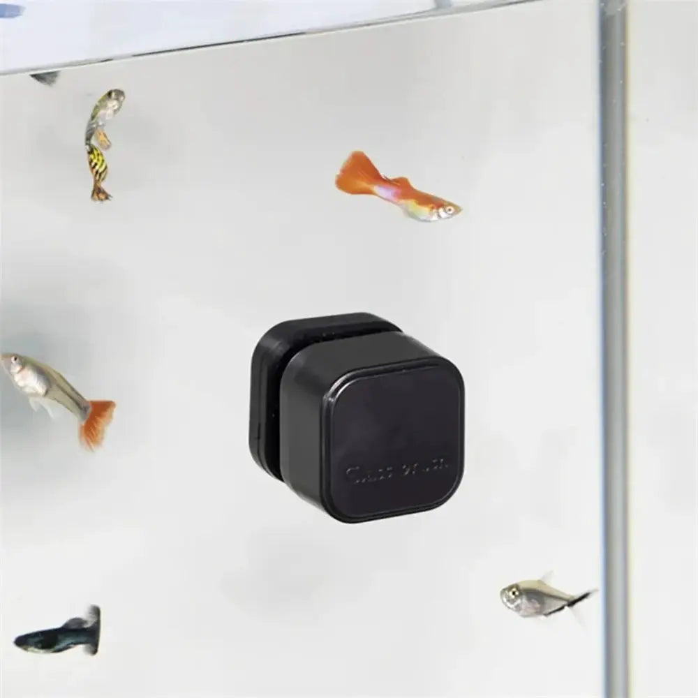 Aquarium Glass Cleaner | Fits Tanks Under 6Mm Thick | Mini Square Design