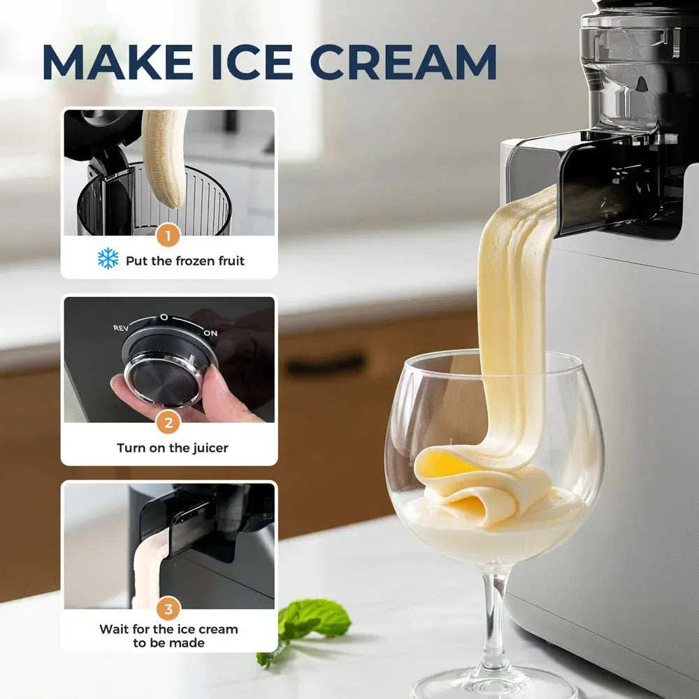 ROUNY Slow Juicer, Cold Press Extractor with Filter-Free, Easy Clean Electric Fruit Juicer Machine with Large Caliber, Black from PriceLows™