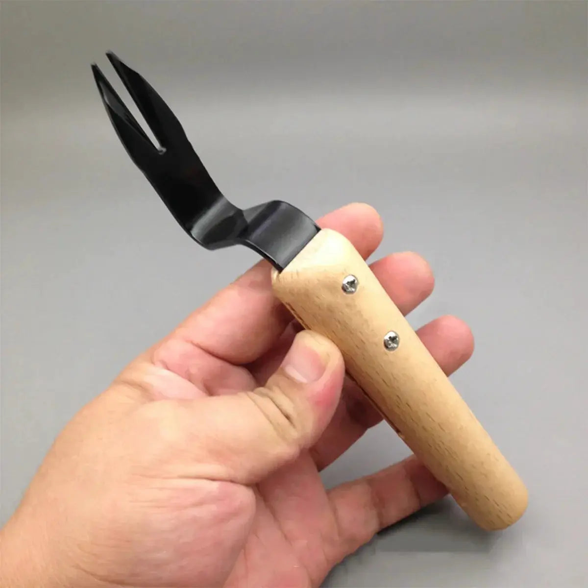 Effortless Weed Removal Tool - T TOVIA Handheld Dandelion Puller & Garden Fork, Durable Metal Construction for Lawn Care from PriceLows™