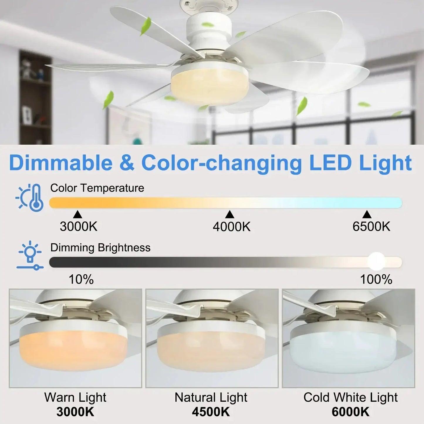 Ceiling Fan With Light | E26 E27 Base | Remote Included | 20.5in