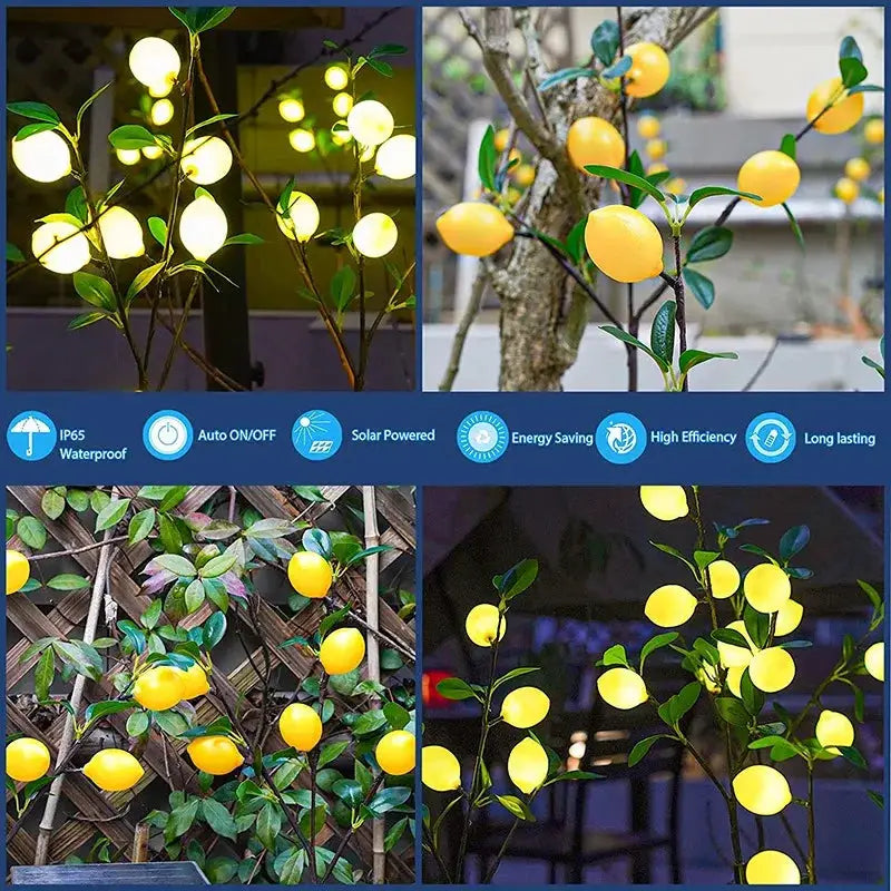 LED Solar Lemon Light for Lawn,Courtyard,Outdoor View,Garden, Park, PartyAtmosphere, Entrance, Festival, Decorative Lamp, 2Pcs from PriceLows™