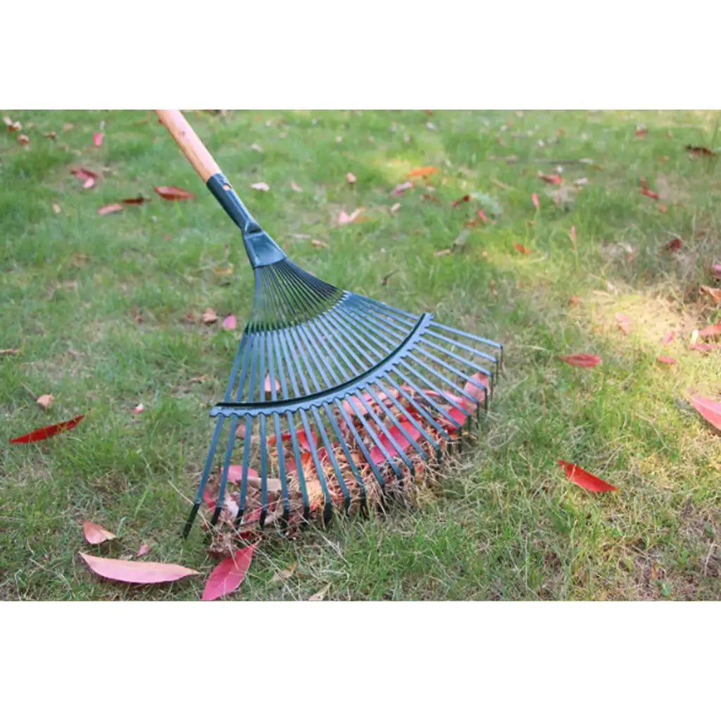 Garden Leaf Rake | Iron Head | 22 Tooth | Single Handle
