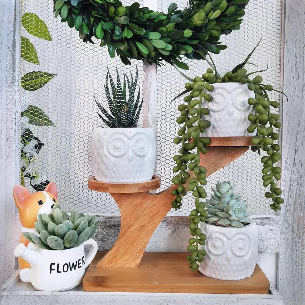 3Pcs Owl Succulent Pots with 3-Tier Bamboo Stand - White Ceramic Planters with Drainage, Modern Desk Decor from PriceLows™
