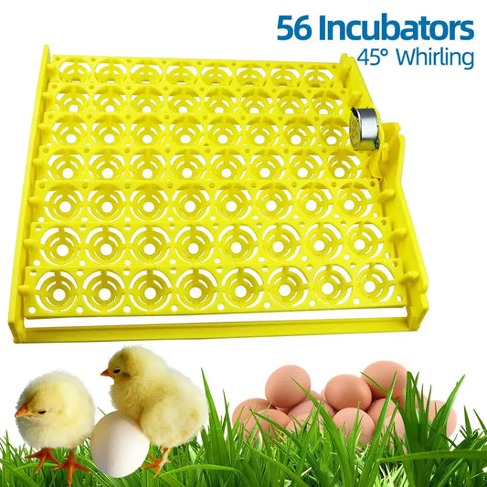 Egg Incubator | 56 Egg Capacity | Automatic Turn Tray | 220-240V from PriceLows™